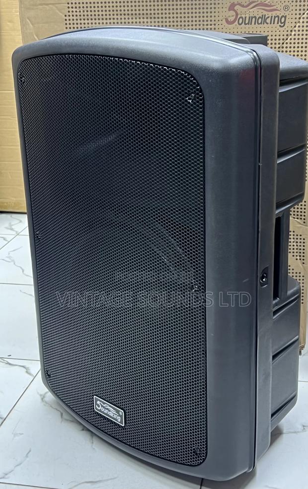 Soundking FP-215 15′′ Passive Midrange Speaker - main view