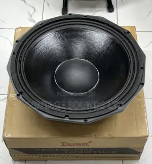 Pd1880 Derwel Professional Bass Speaker
