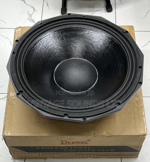 Pd1880 Derwel Professional Bass Speaker - thumbnail 2