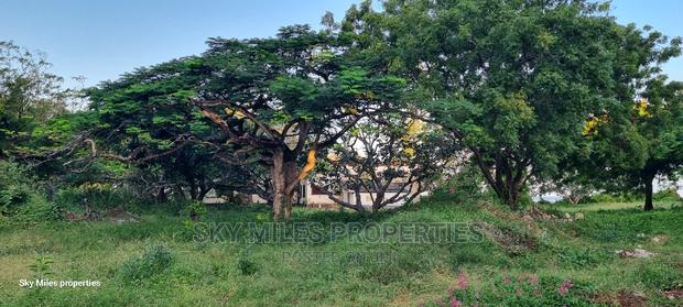 Serena,1/8 Plots on Sale - thumbnail 7