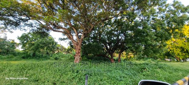 Serena,1/8 Plots on Sale - thumbnail 8