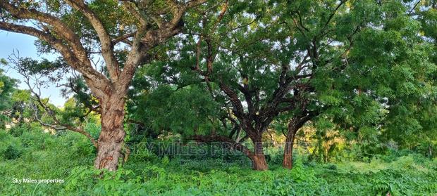 Serena,1/8 Plots on Sale - thumbnail 10