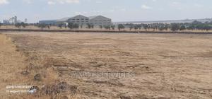 Daystar: 10 Acres for Sale - main view