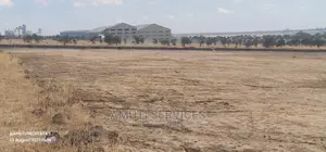 Daystar: 10 Acres for Sale