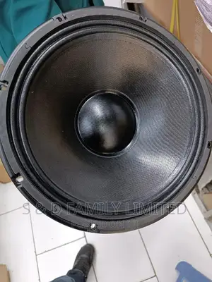 RCF LF12G301 Naked Speakers 12 Inch