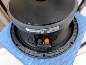 Derwel 10AH27 Naked Speaker 10 Inch