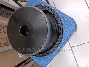 Derwel 10AH27 Naked Speaker 10 Inch