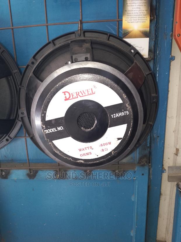 Derwel 12-Ah975 12 Inch Naked Speaker - main view