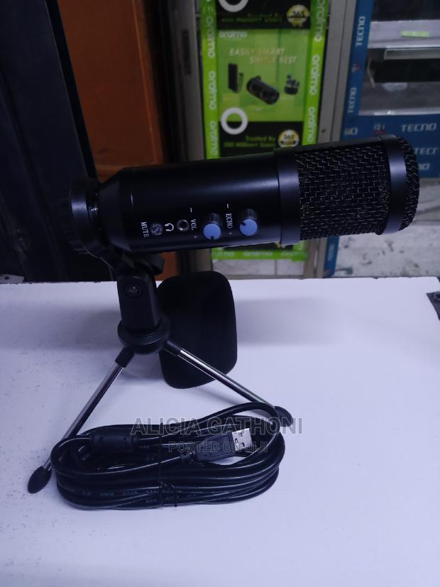 New Condenser Microphone With Echo and Mute Button