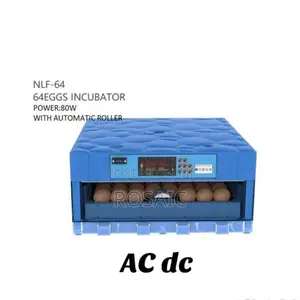 Ac/Dc 64 Eggs Incubator