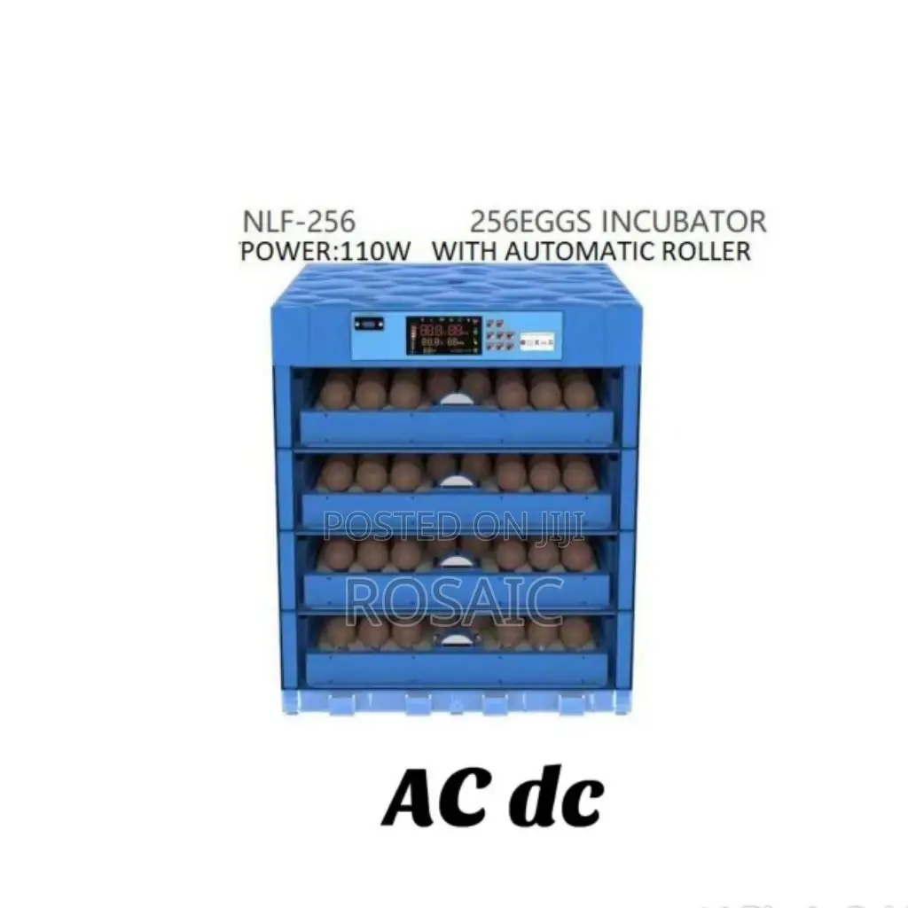 256 Eggs Ac/Dc Incubator