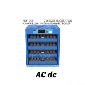 256 Eggs Ac/Dc Incubator