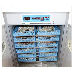 Ac/Dc 528 Eggs Incubator With Automatic Roller