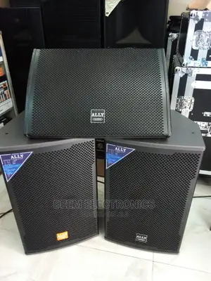 2 Midrange Speakers and Monitor 15inch - Ally Audio