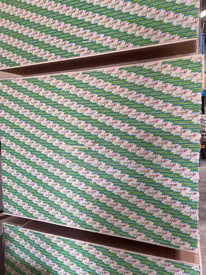 Thumbs Up 9mm Gypsum Boards