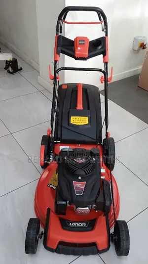 Lawnmower 6.5