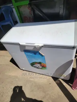 280l Deep Freezer