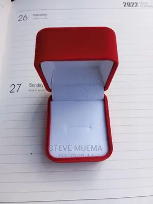 Luxury Velvet Ring Case.