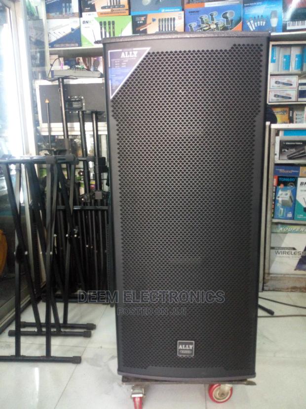 Speaker Ally Audio, Double Speaker, Fullrange 1600 Watts