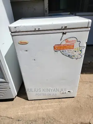 Von Mini Freezer