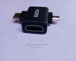 Micro-Hdmi+Mini-Hdmi to HDMI Female Converter