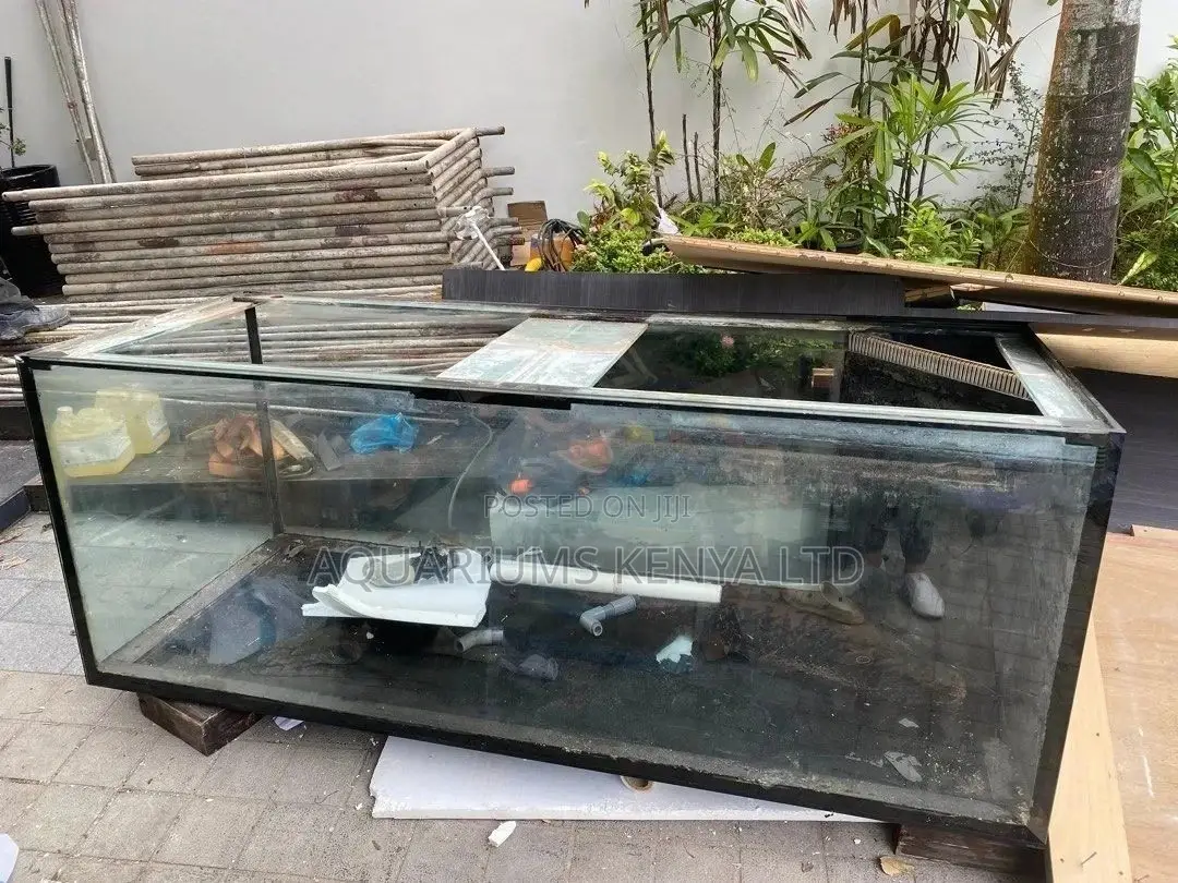 Big Aquarium Repair and Sump Restoration