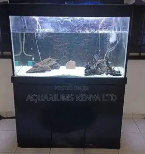 Aquarium Cleaning .