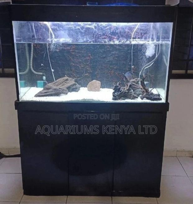 Aquarium Cleaning . - main view