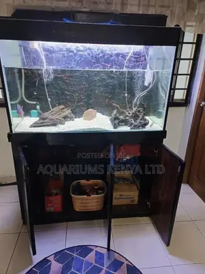 Aquarium Cleaning .