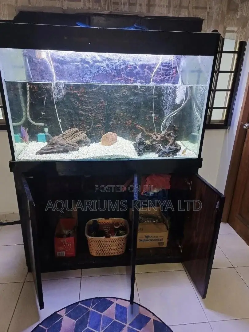 Aquarium Cleaning .