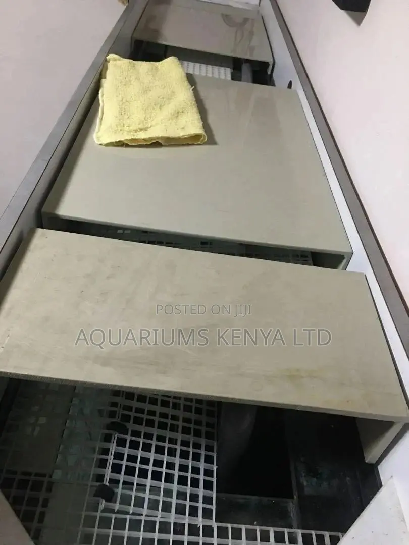 Massive 5ft by 4ft by 1ft Aquarium With Bottom Sump
