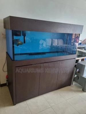5ft Cabinet Tank - thumbnail 2