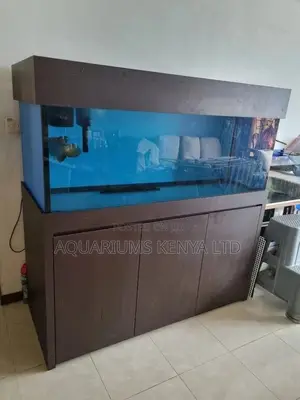 5ft Cabinet Tank