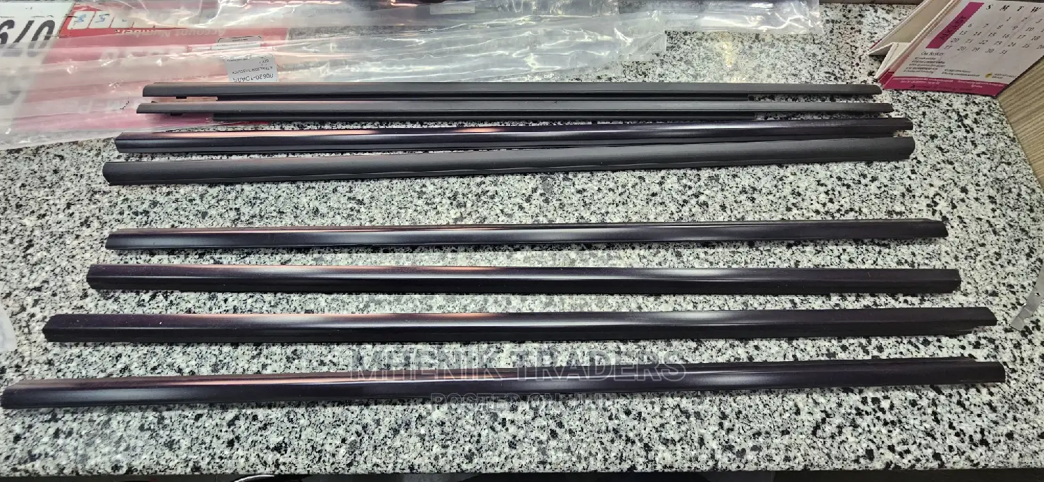 Weather Strip Xtrail
