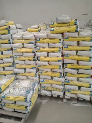 White Tile Adhesive/ Tile Cement