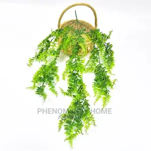 Hanging Vines (Decorative )