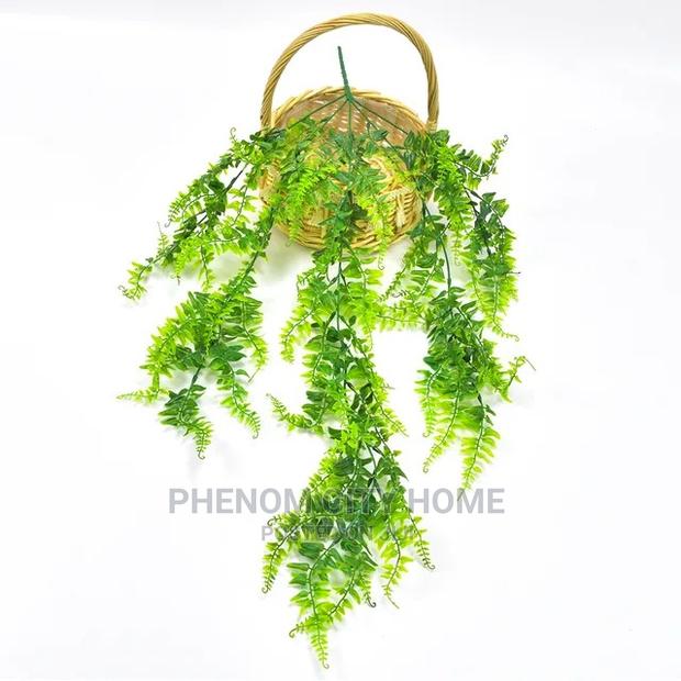 Hanging Vines (Decorative ) - thumbnail 2