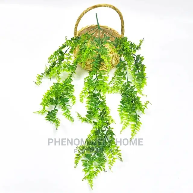 Hanging Vines (Decorative )