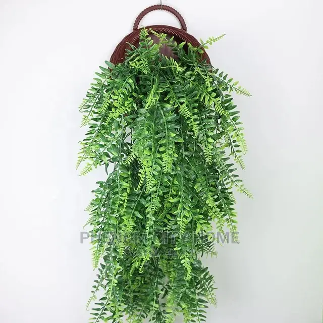 Hanging Vines (Decorative )