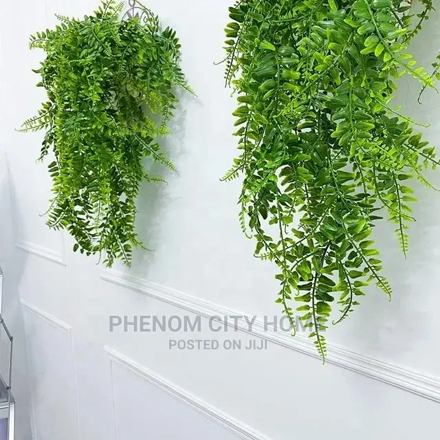 Hanging Vines Decor