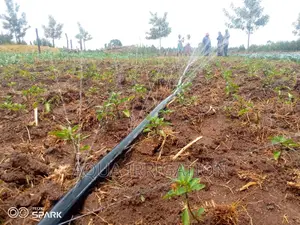 Rainhose Irrigation System