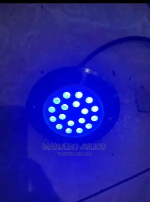 Led Swimming Pool Lights