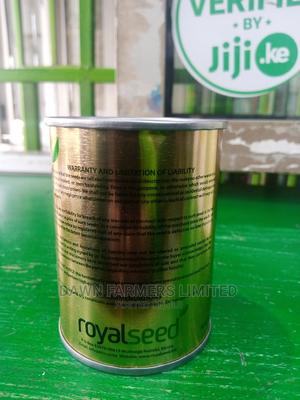 Eggplant 50gms - main view