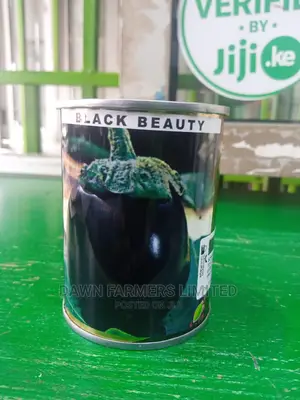 Eggplant 50gms
