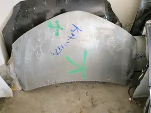 Fielder/Axio 165 2015/2016 Bonnet