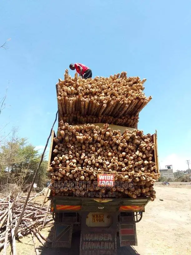 Makonge for Makuti Roofing