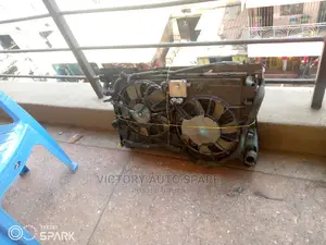 Mark X Zio Radiator Complete