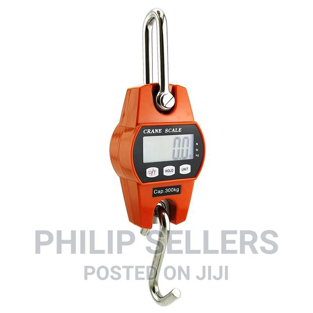Hanging Scale, Automatic Reset Electronic - main view