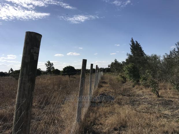 1/2 Acre Land Katani - thumbnail 6