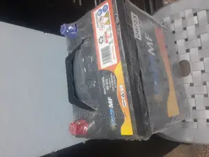 Car Battery NS40